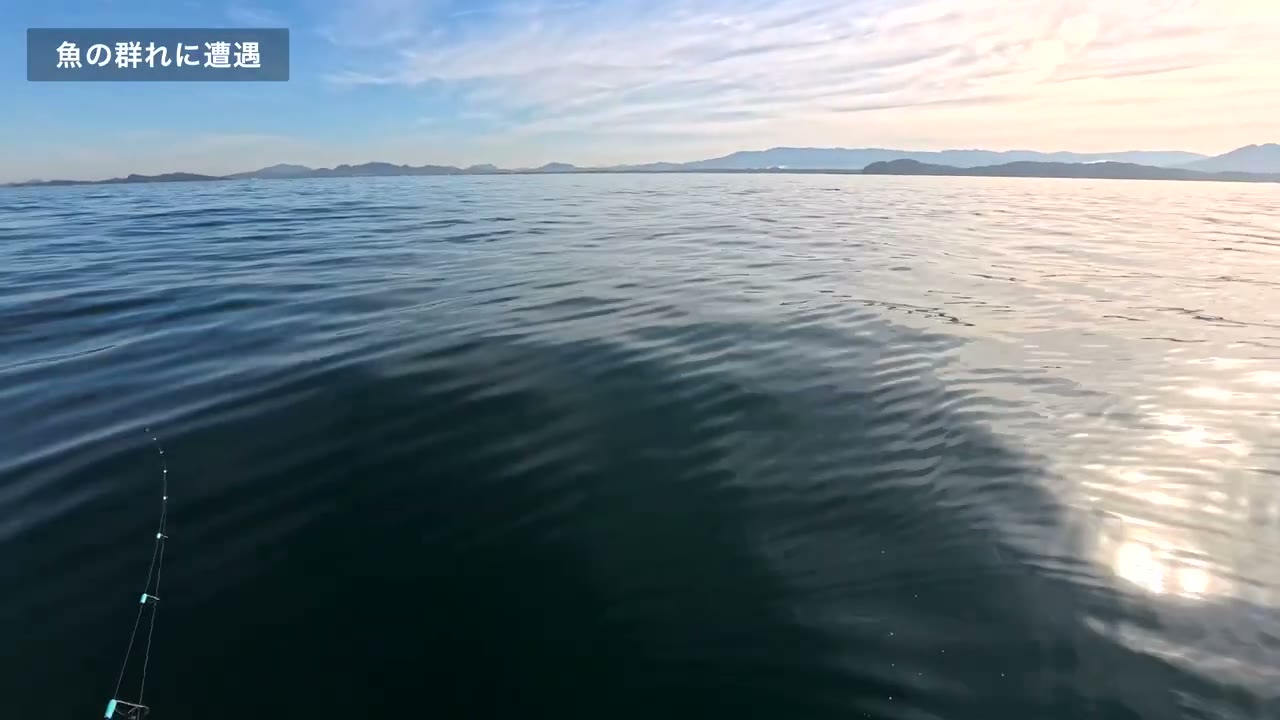 凪の海面に広がる魚の群れの影と「魚の群れに遭遇」の文字