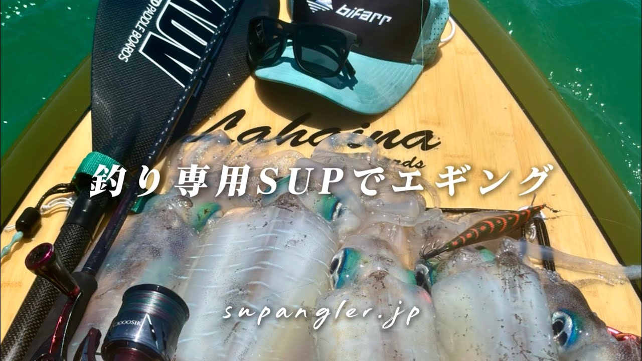 LAHAINA釣り専用SUPでアオリイカを狙う動画