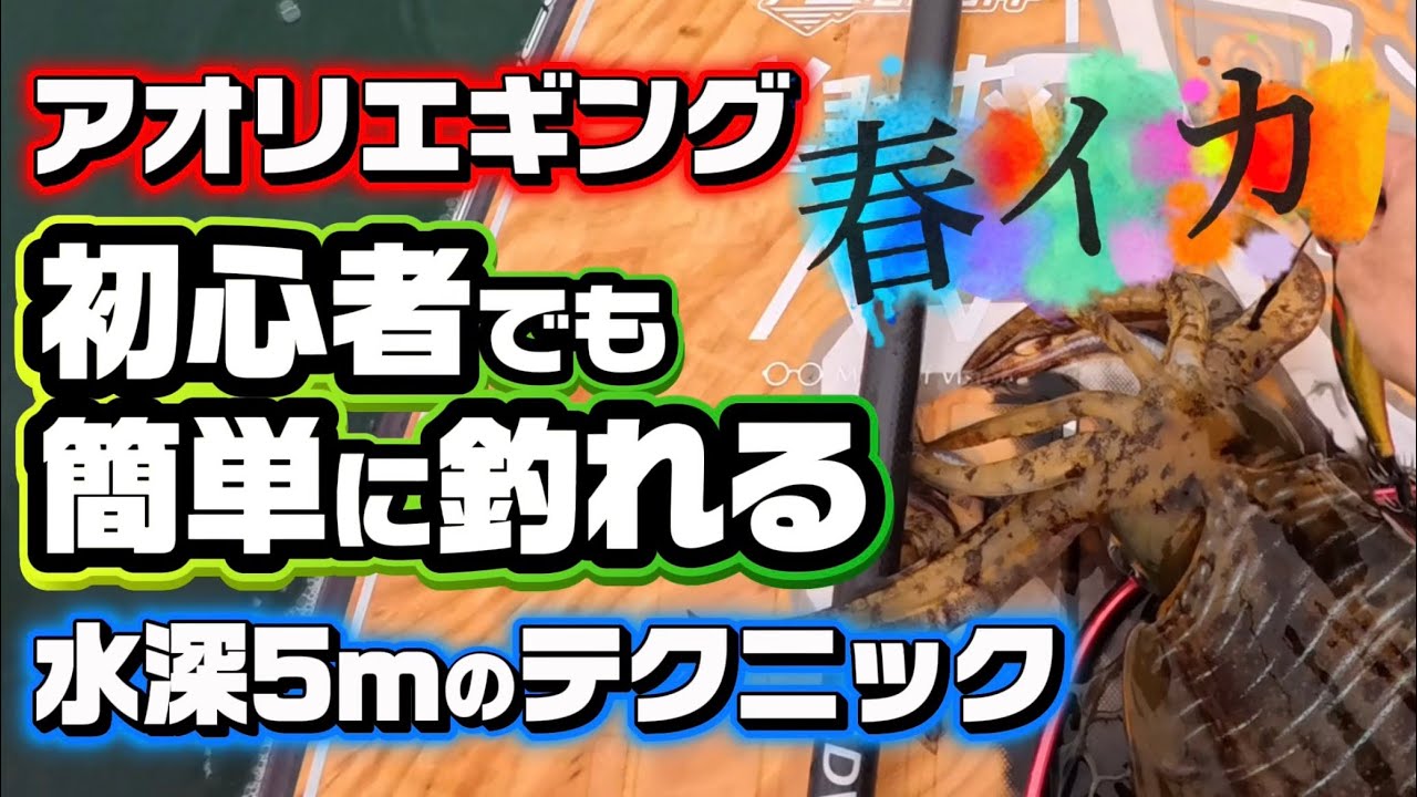 水深5mのエギングで釣れた春のアオリイカ